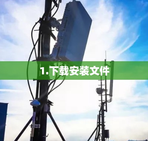 1.下载安装文件
