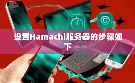 设置Hamachi服务器的步骤如下