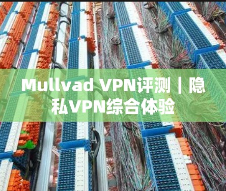 Mullvad VPN评测｜隐私VPN综合体验