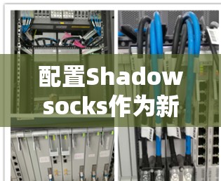配置Shadowsocks作为新手可能会有一些挑战，但通过以下步骤可以轻松完成。请按照以下指南进行操作