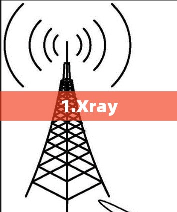 1.Xray