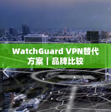 WatchGuard VPN替代方案｜品牌比较