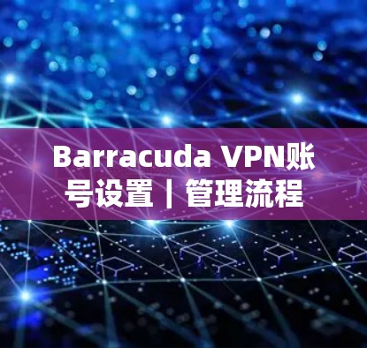 Barracuda VPN账号设置｜管理流程