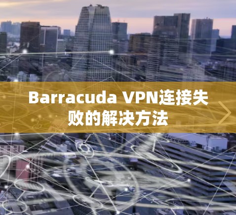 Barracuda VPN连接失败的解决方法