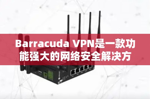 Barracuda VPN是一款功能强大的网络安全解决方案，适合个人和企业用户。以下是对其网络防护能力的详细分析