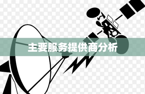 主要服务提供商分析
