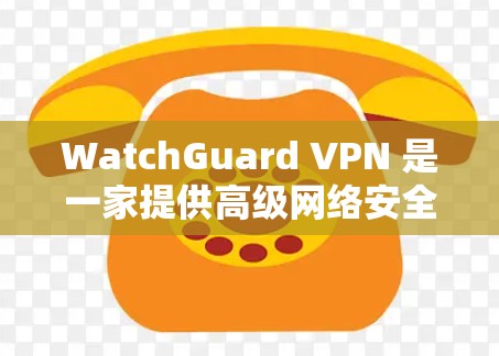WatchGuard VPN 是一家提供高级网络安全解决方案的公司，其VPN服务在数据安全和隐私保护方面提供了多项功能。以下是其安全策略和功能的详细介绍