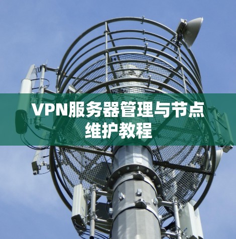 VPN服务器管理与节点维护教程