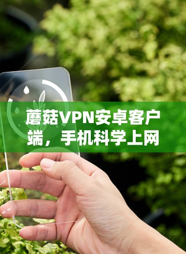 蘑菇VPN安卓客户端，手机科学上网的秘密武器