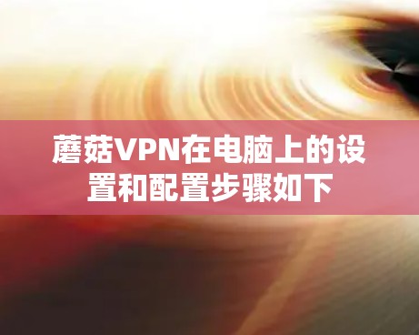 蘑菇VPN在电脑上的设置和配置步骤如下