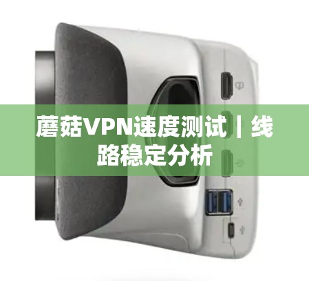蘑菇VPN速度测试｜线路稳定分析