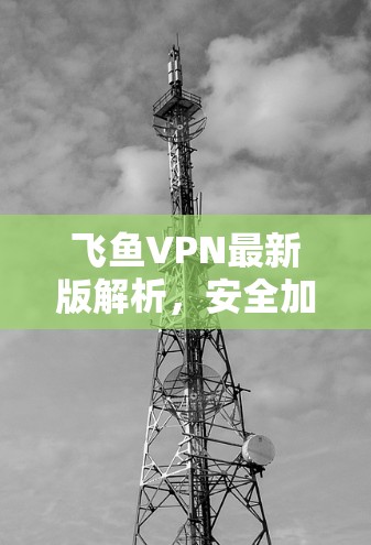 飞鱼VPN最新版解析，安全加速新体验