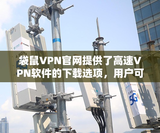 袋鼠VPN官网提供了高速VPN软件的下载选项，用户可以按照以下步骤进行操作