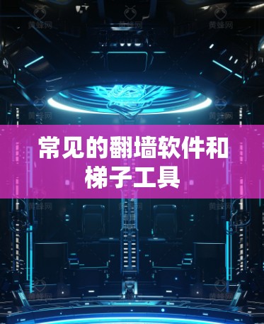 常见的翻墙软件和梯子工具