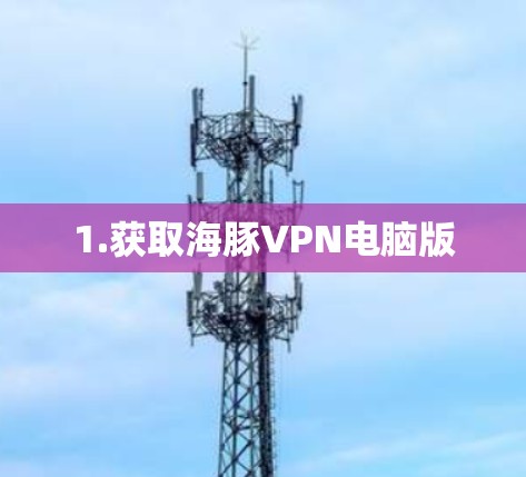 1.获取海豚VPN电脑版