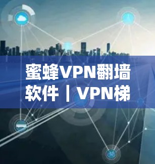 蜜蜂VPN翻墙软件｜VPN梯子工具