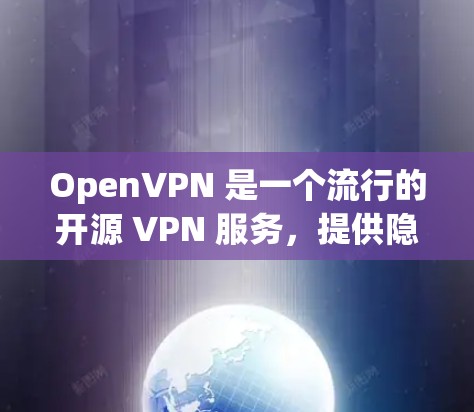 OpenVPN 是一个流行的开源 VPN 服务，提供隐私保护和安全连接的功能。以下是获取 OpenVPN 最新版本及其客户端入口的步骤