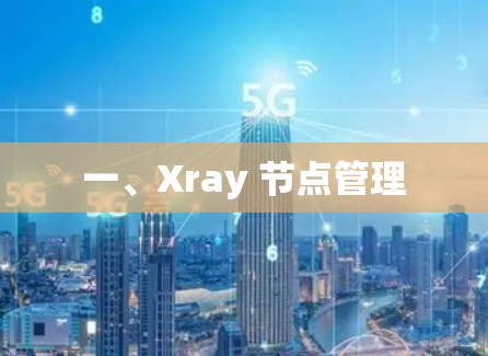 一、Xray 节点管理