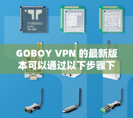 GOBOY VPN 的最新版本可以通过以下步骤下载