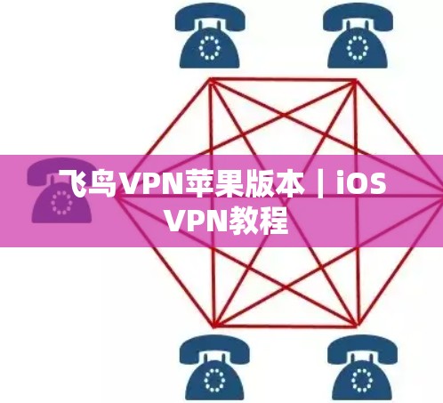 飞鸟VPN苹果版本｜iOS VPN教程