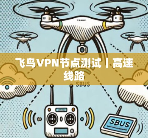 飞鸟VPN节点测试｜高速线路