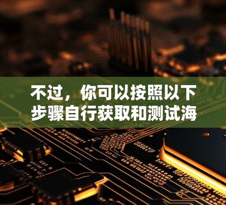 不过，你可以按照以下步骤自行获取和测试海豚VPN的节点信息