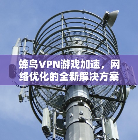 蜂鸟VPN游戏加速，网络优化的全新解决方案