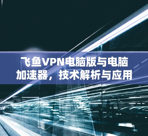 飞鱼VPN电脑版与电脑加速器，技术解析与应用场景