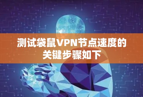 测试袋鼠VPN节点速度的关键步骤如下