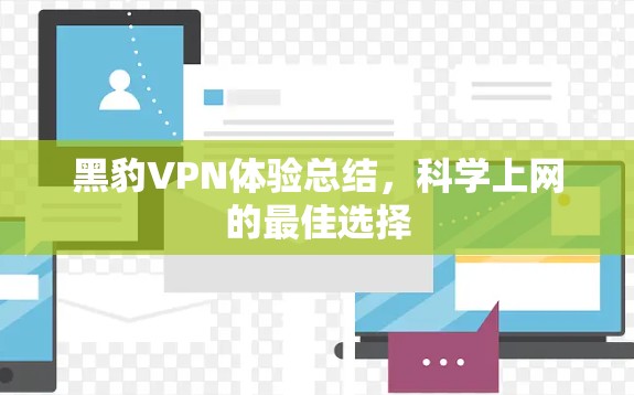 黑豹VPN体验总结，科学上网的最佳选择