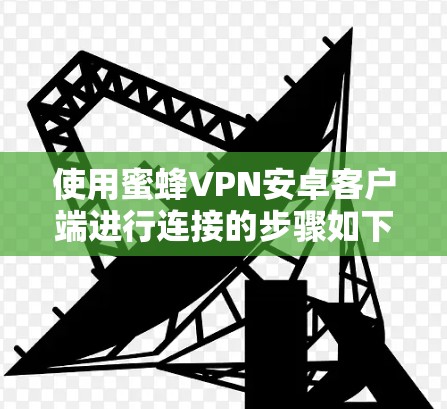 使用蜜蜂VPN安卓客户端进行连接的步骤如下