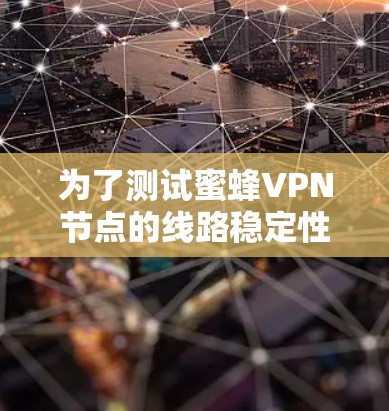 为了测试蜜蜂VPN节点的线路稳定性，您可以按照以下步骤进行