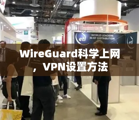 WireGuard科学上网，VPN设置方法