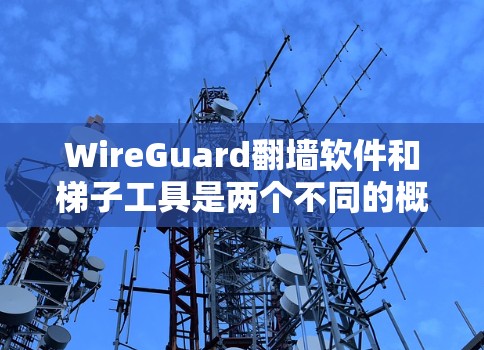 WireGuard翻墙软件和梯子工具是两个不同的概念，但它们都与网络隐私和访问受到相关联。以下是对这两个概念的简要介绍