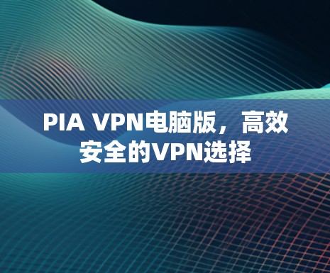 PIA VPN电脑版，高效安全的VPN选择