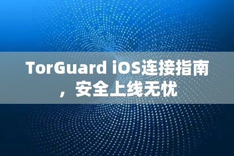 TorGuard iOS连接指南，安全上线无忧