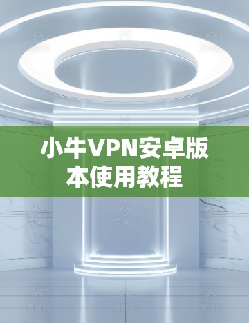 小牛VPN安卓版本使用教程