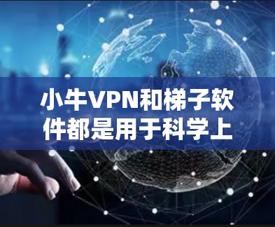小牛VPN和梯子软件都是用于科学上网和提高隐私保护的工具，但它们各自有不同的作用和适用场景。以下是对它们的详细分析和建议
