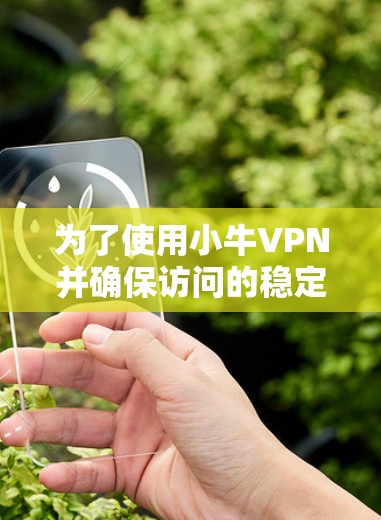 为了使用小牛VPN并确保访问的稳定性，请按照以下步骤操作