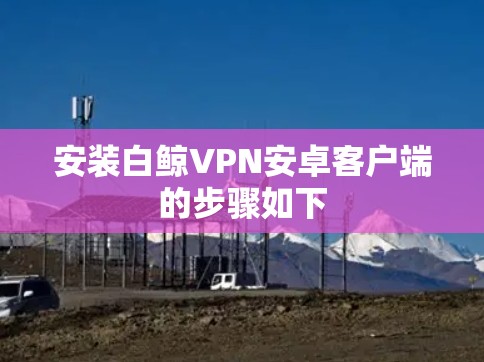 安装白鲸VPN安卓客户端的步骤如下