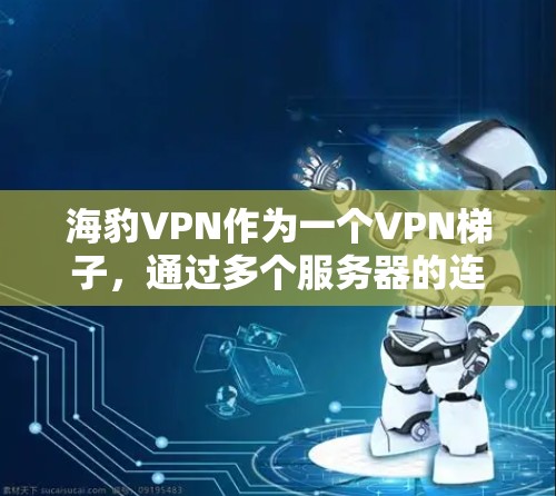 海豹VPN作为一个VPN梯子，通过多个服务器的连续连接，提供了更高的隐匿性和防止IP追踪的能力。以下是对海豹VPN的详细分析