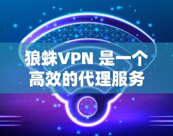 狼蛛VPN 是一个高效的代理服务，能够帮助用户科学上网、访问限制的网站或国际网站。以下是使用狼蛛VPN进行科学上网的基本步骤和注意事项