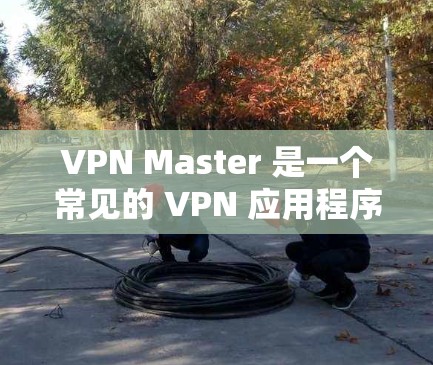 VPN Master 是一个常见的 VPN 应用程序，具体的最新版本信息可以通过以下途径获取