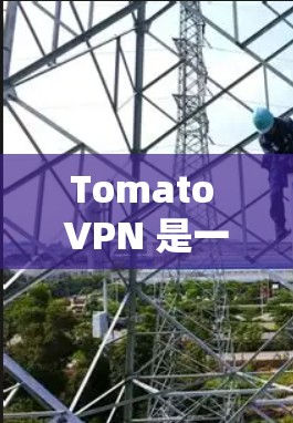 Tomato VPN 是一个基于 Tomato Router 的 VPN 服务，提供高速、安全的无限流量 VPN 连接。以下是关于 Tomato VPN 的速度测试和性能排行的详细分析