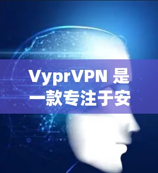 VyprVPN 是一款专注于安全和隐私保护的 VPN 工具，适用于 Windows 电脑用户。以下是关于 VyprVPN 电脑版的一些详细信息和使用指南