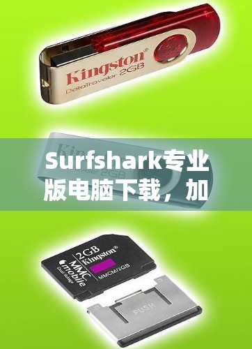 Surfshark专业版电脑下载，加速、隐私保护双重保障