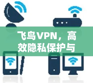 飞鸟VPN，高效隐私保护与无限制访问