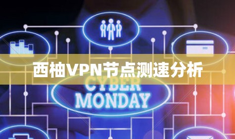 西柚VPN节点测速分析