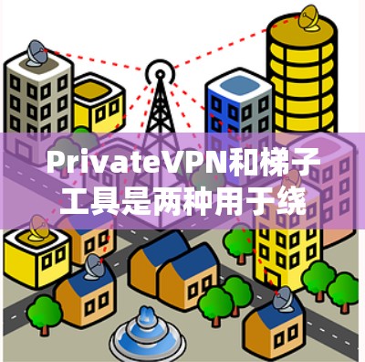 PrivateVPN和梯子工具是两种用于绕过网络限制的工具，各有特点和适用场景。以下是对它们的详细介绍和建议