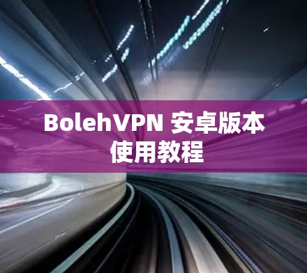 BolehVPN 安卓版本 使用教程